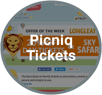  Our Projects: Picniq Tickets
